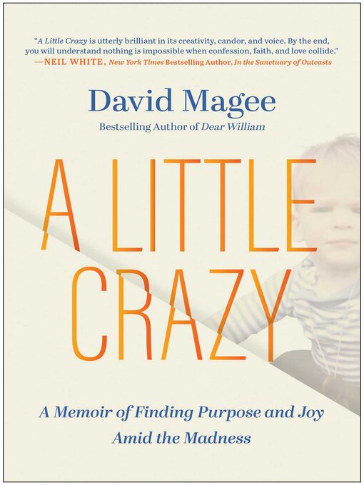 Title details for A Little Crazy by David Magee - Available